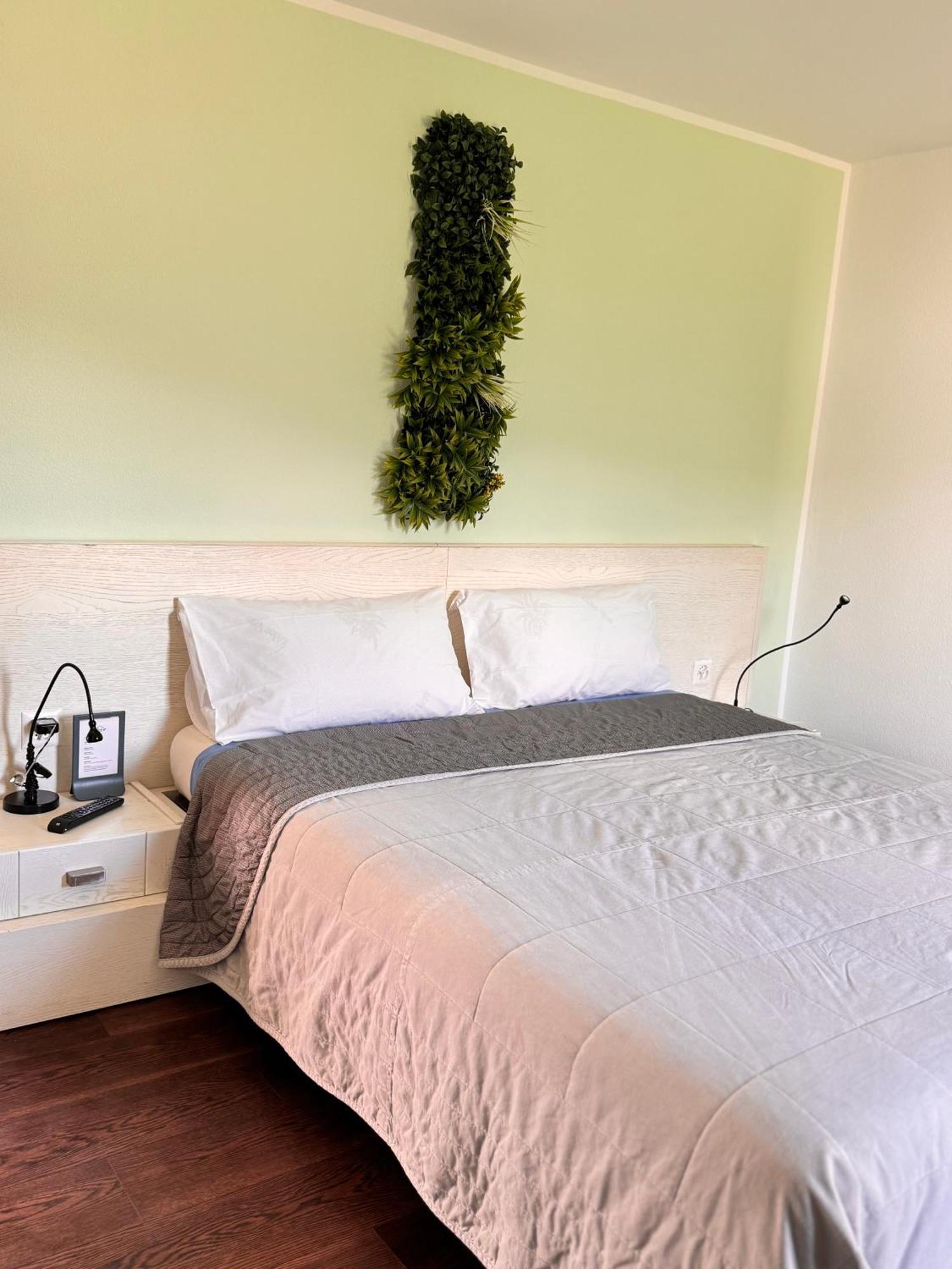 Bed and Breakfast Viva Bacco Gambarogno Exteriér fotografie