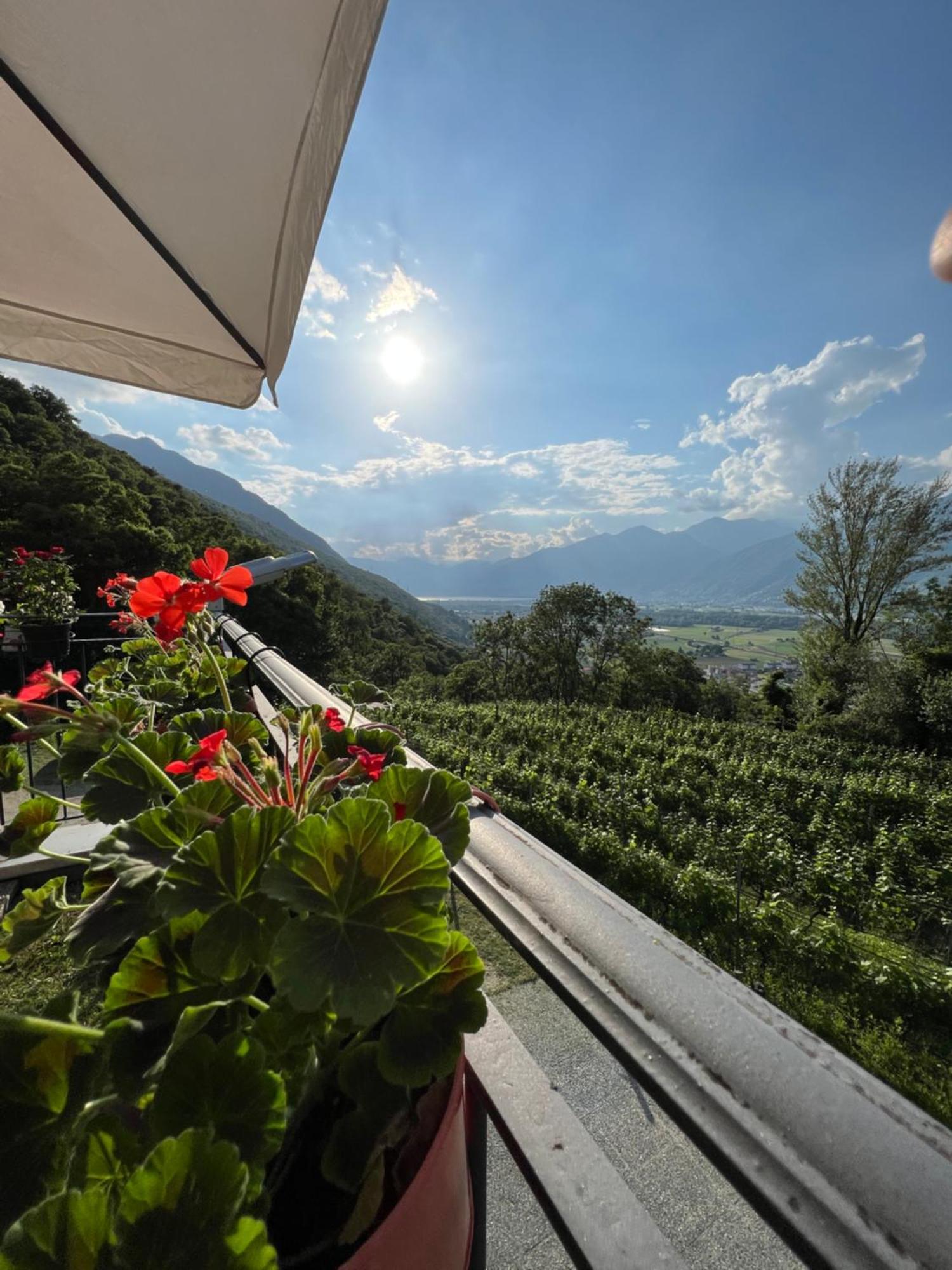 Bed and Breakfast Viva Bacco Gambarogno Exteriér fotografie