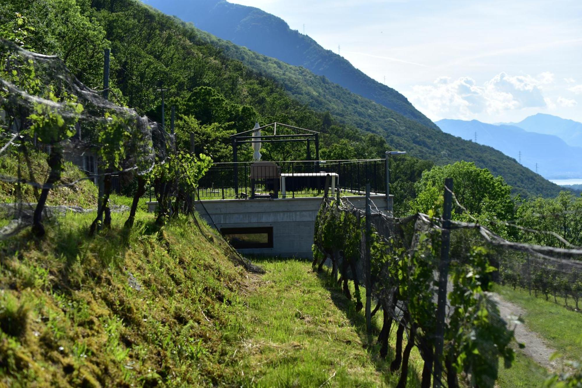 Bed and Breakfast Viva Bacco Gambarogno Exteriér fotografie