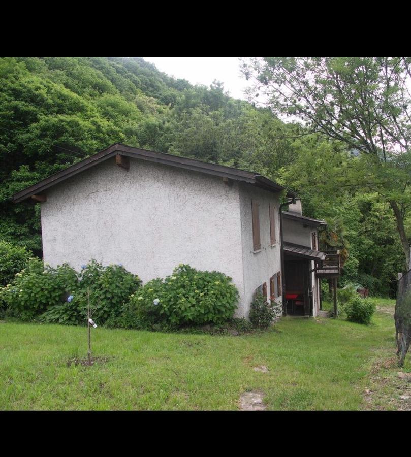 Bed and Breakfast Viva Bacco Gambarogno Exteriér fotografie